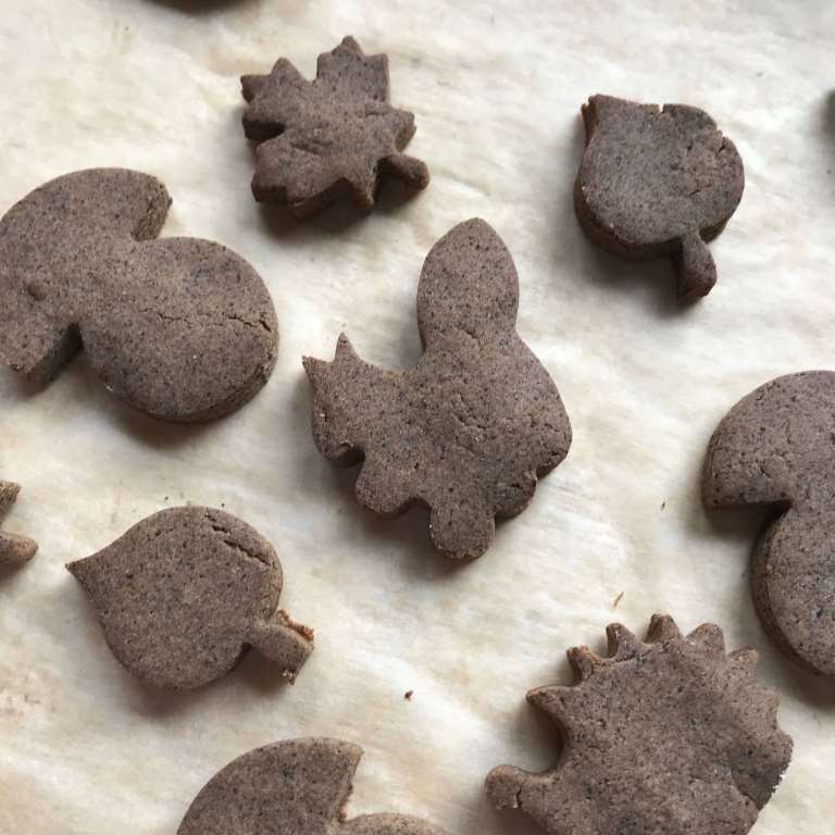 ciasteczka zoledziowe