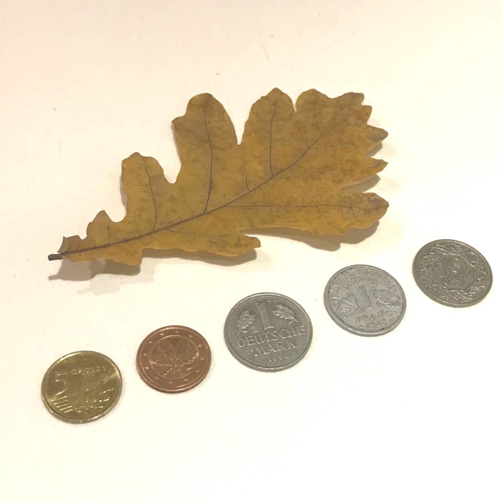 lisc debu na monetach