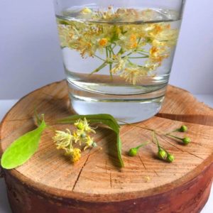 jak zrobic lemoniade z kwiatow lipy