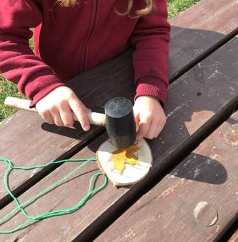 lisc na plastrze drewna