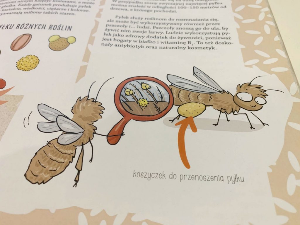 rysunek pszczoły z pyłkiem