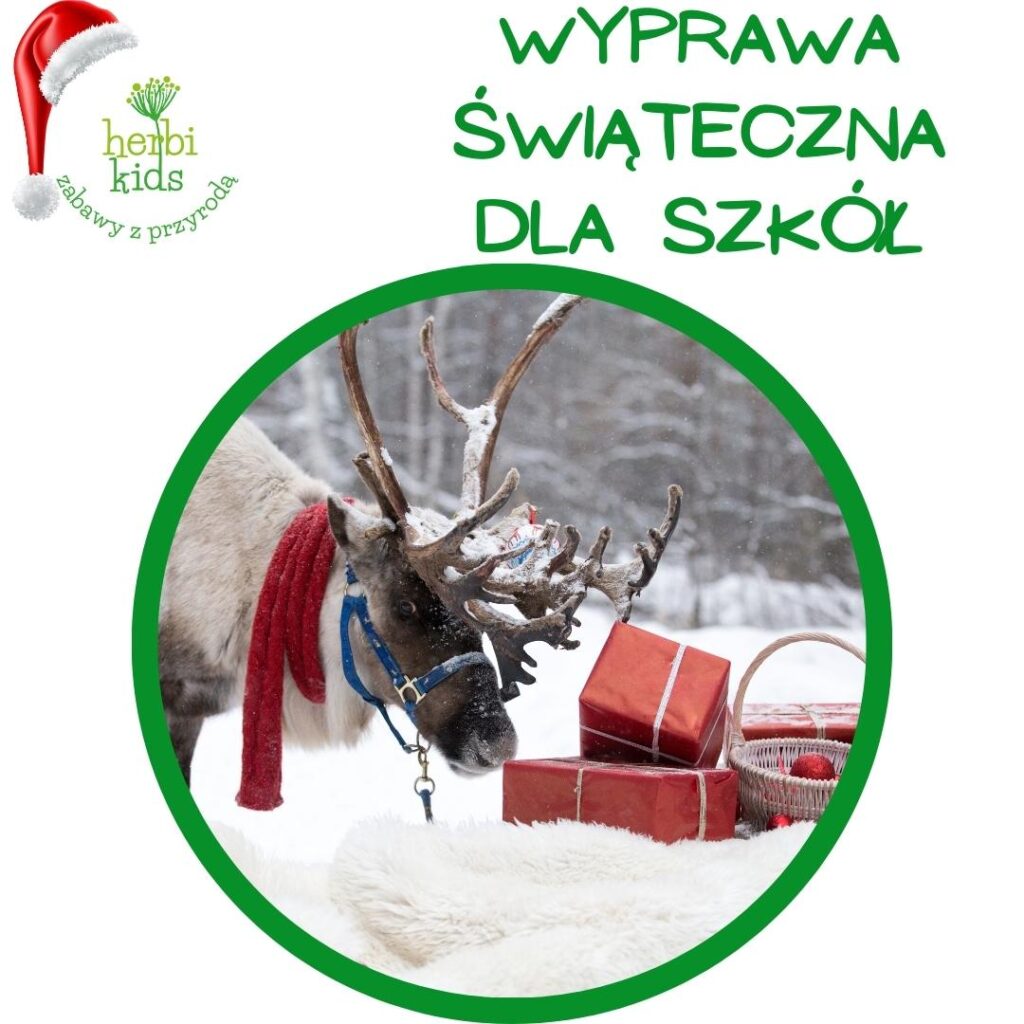 świąteczna gra terenowa