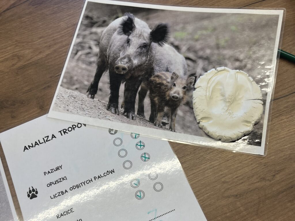 warsztaty przyrodnicze o zwierzetach