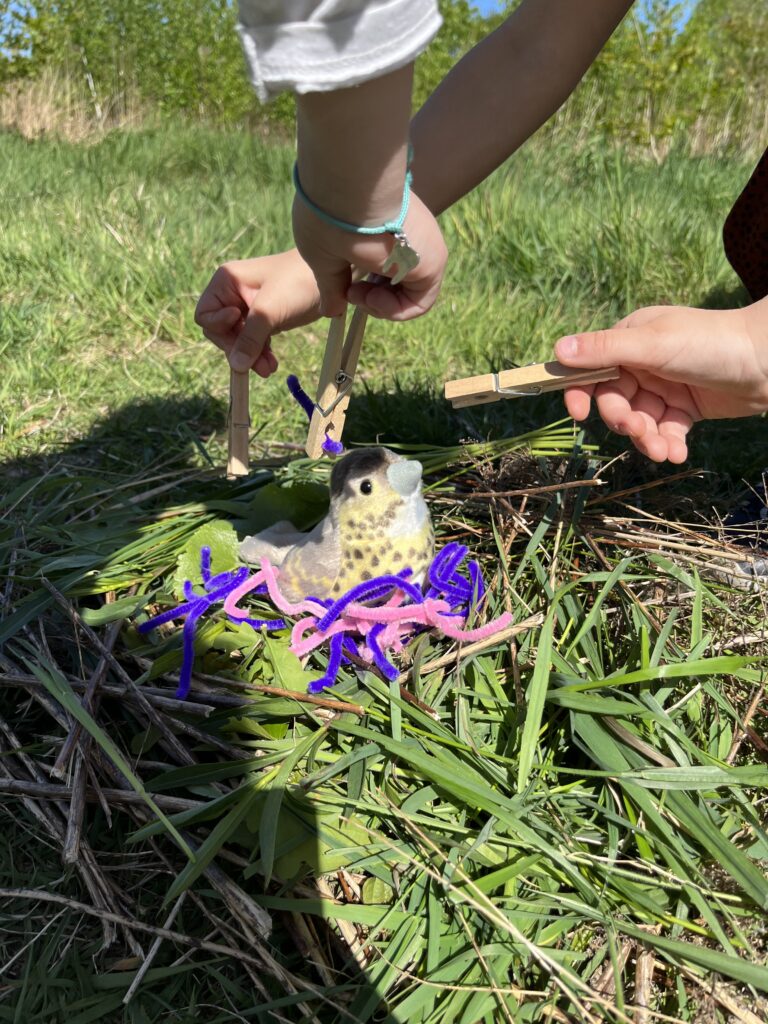 zabawa ptaszek w gniezdzie