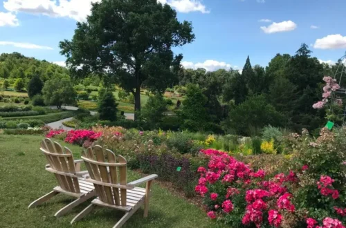 widok w arboretum wojslawice