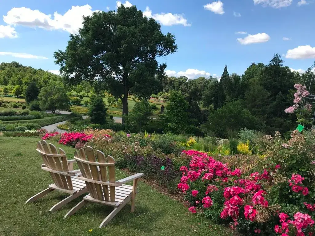 widok w arboretum wojslawice