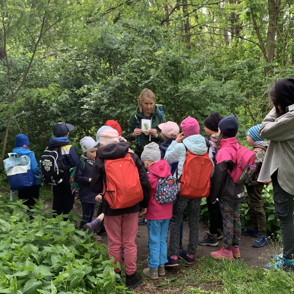 lekcja przyrody w lesie
