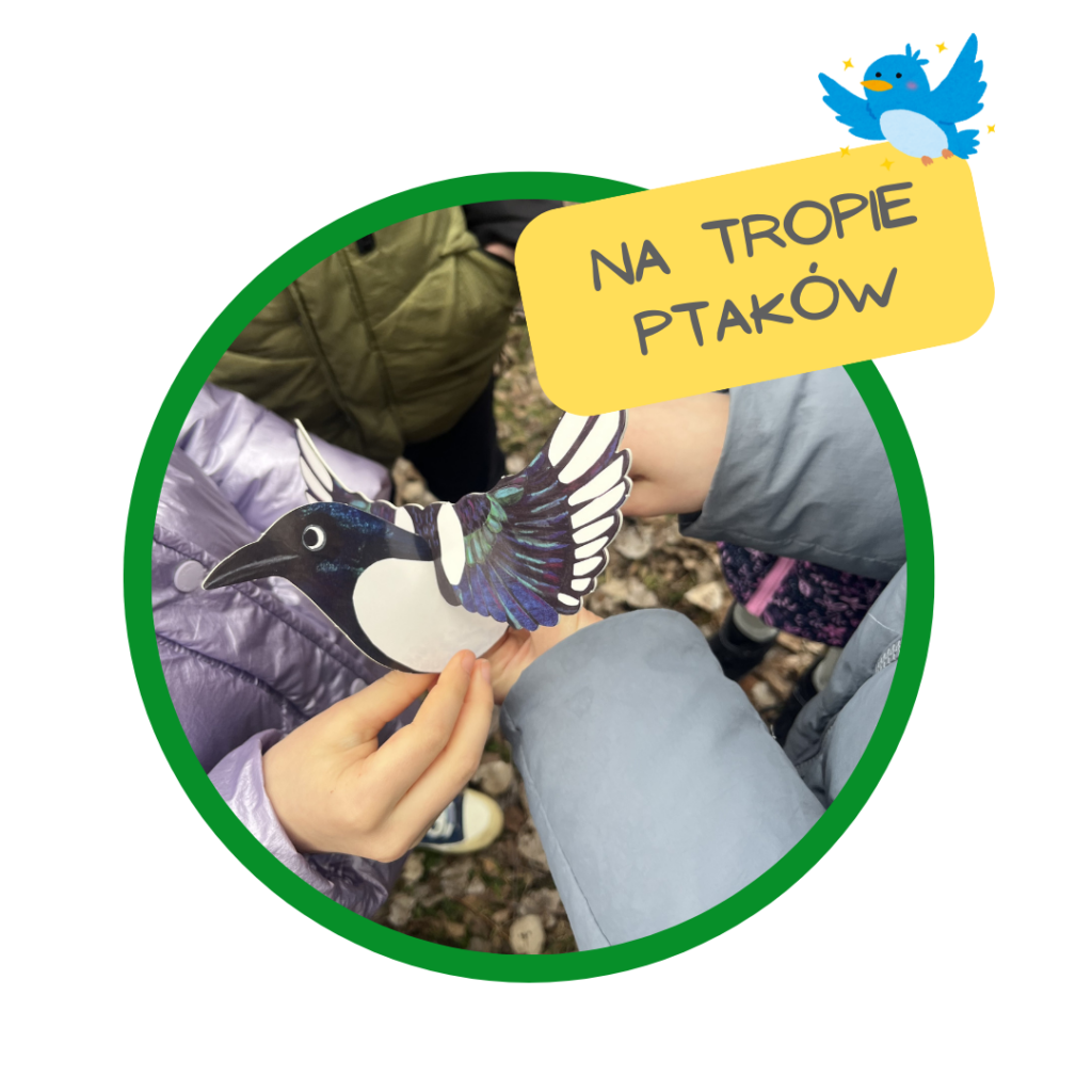 warsztaty o ptakach