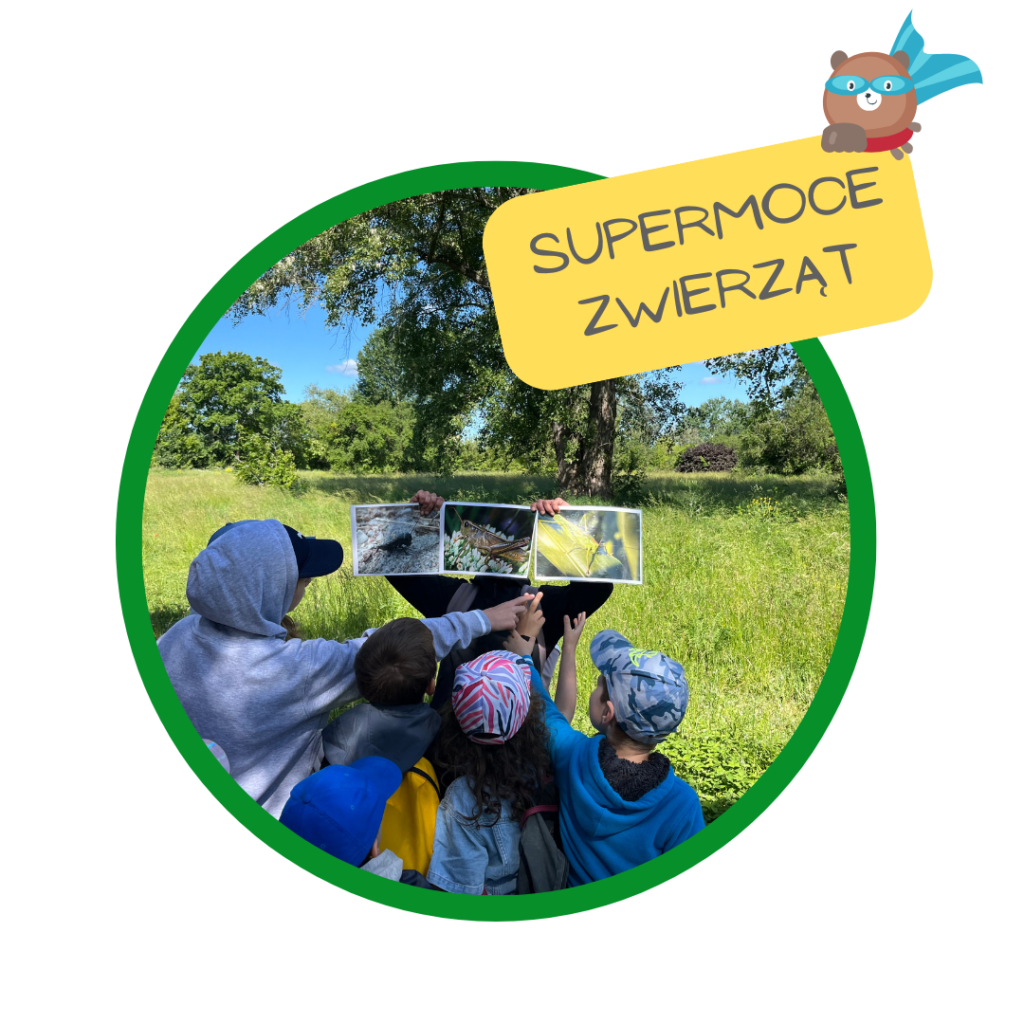 warsztaty o rekordach zwierzat